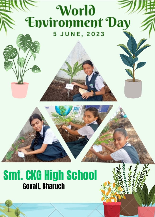 CKG School
